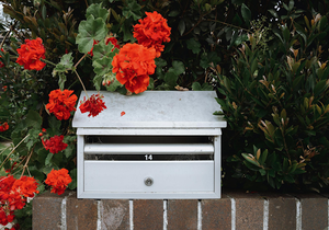 How to Dress Up Your Mailbox Seasonally